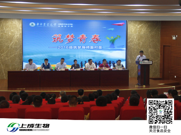 筑夢青春  攜手并進