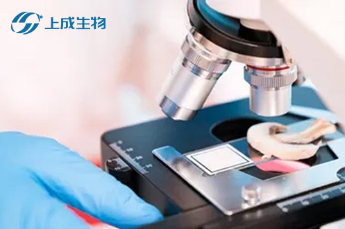 喜報(bào)，上成生物攜手荊州市四大檢測(cè)部門(mén)擬定食用農(nóng)產(chǎn)品快檢實(shí)驗(yàn)室建設(shè)運(yùn)行標(biāo)準(zhǔn)